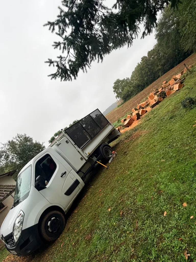 Finition soignée d’un arbre après élagage par Morizet Garden