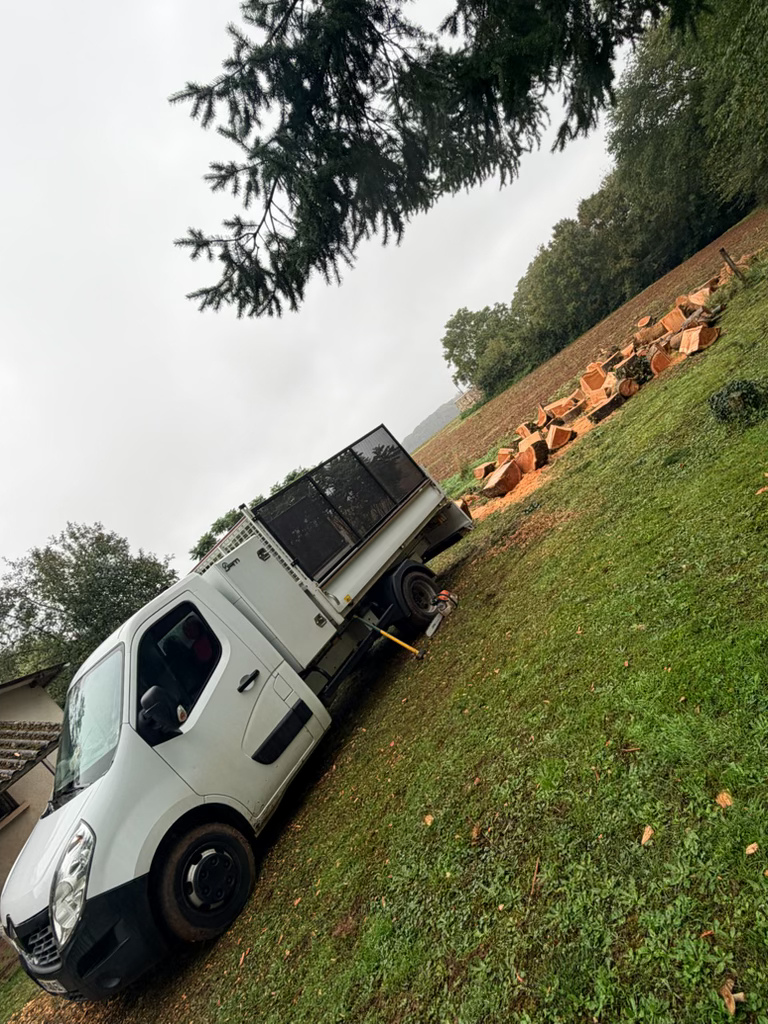 Finition d’un arbre après élagage